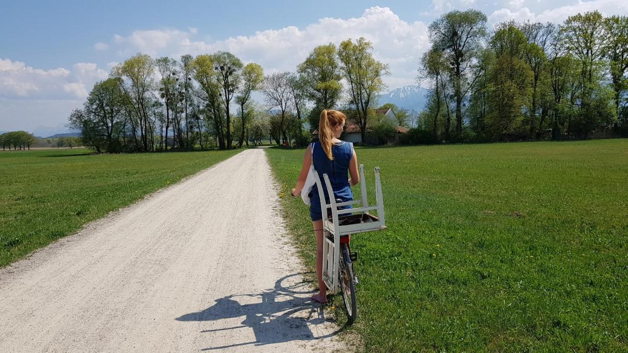 Haus Blumenfeld-Schwaiger Lägenhet Übersee Exteriör bild